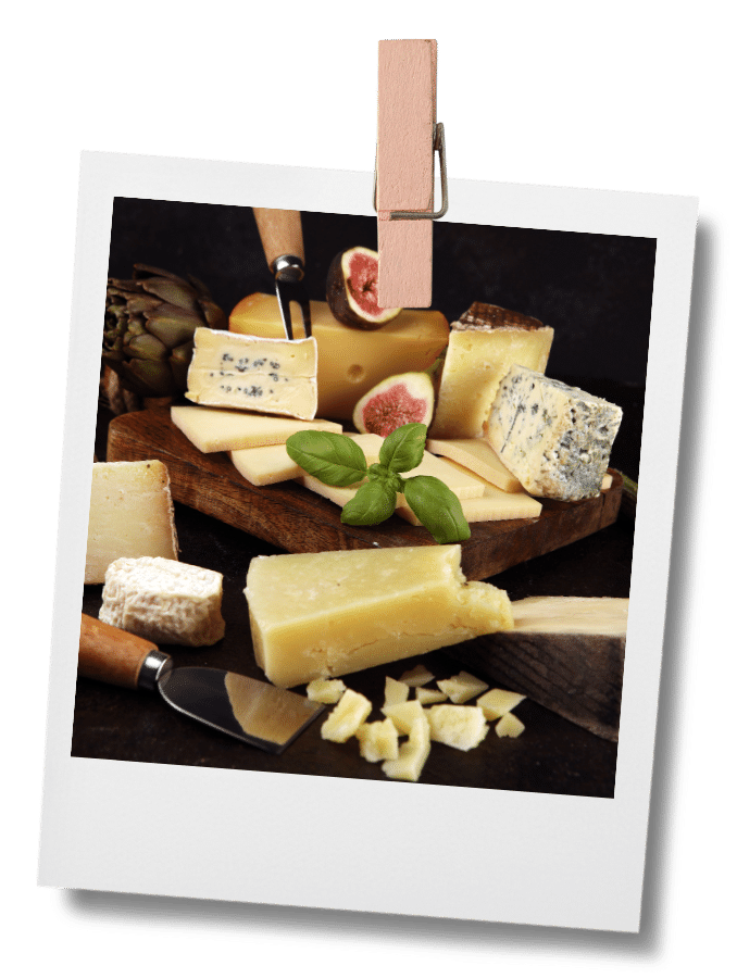 wine & cheese imagery (4)